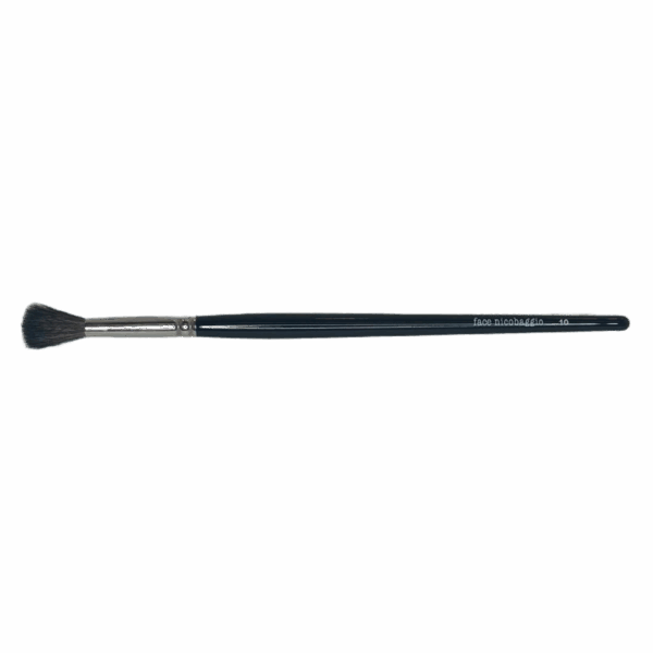 brush 10 2