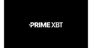 PrimeXBT vs Pocket Option Which Trading Platform is Right for You PrimeXBT vs Pocket Option Which Trading Platform is Right for You